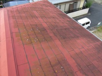 施工前の屋根