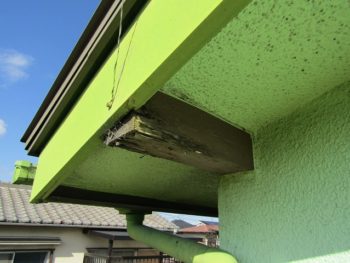 劣化した母屋木