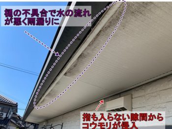 軒天は雨漏りとコウモリの侵入