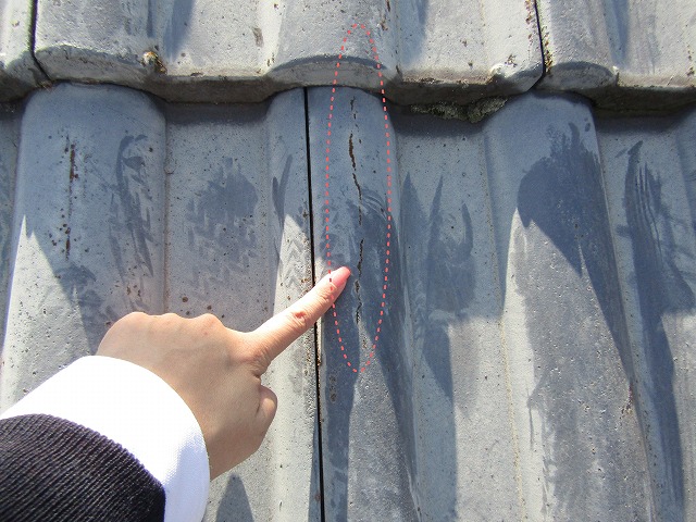 コケが生えた瓦