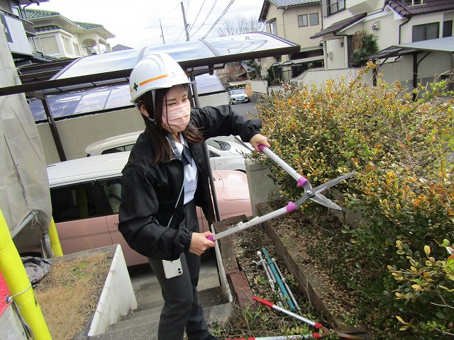 塗装のための剪定