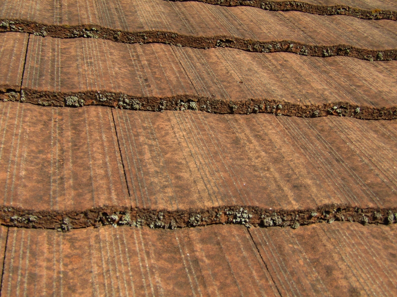 苔や藻が多くあるモニエル瓦