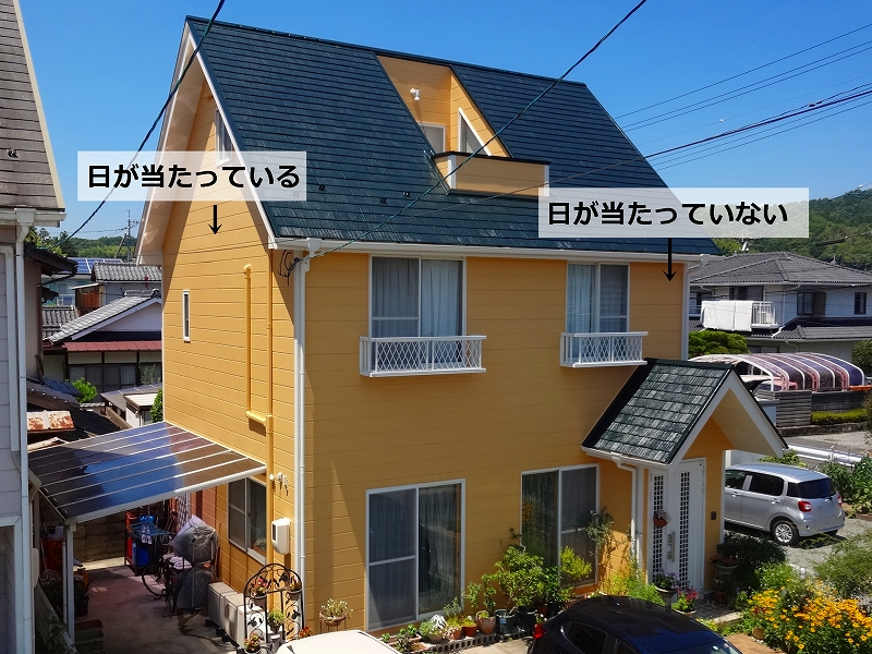 太陽光によって見え方が違う