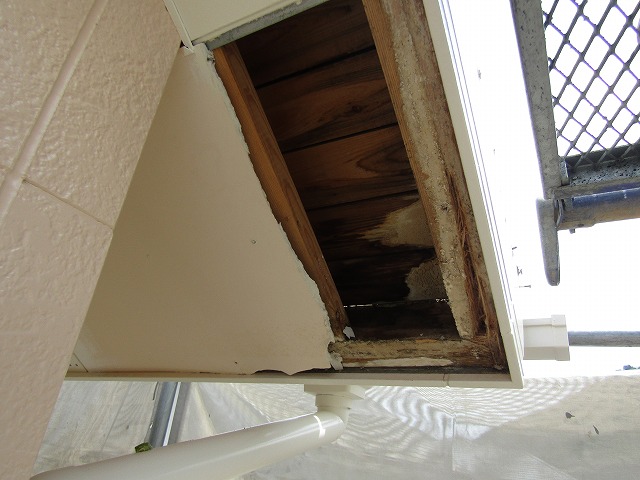 屋根からの雨漏り