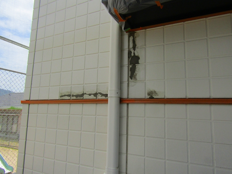 苔で剥がれていたところを修繕