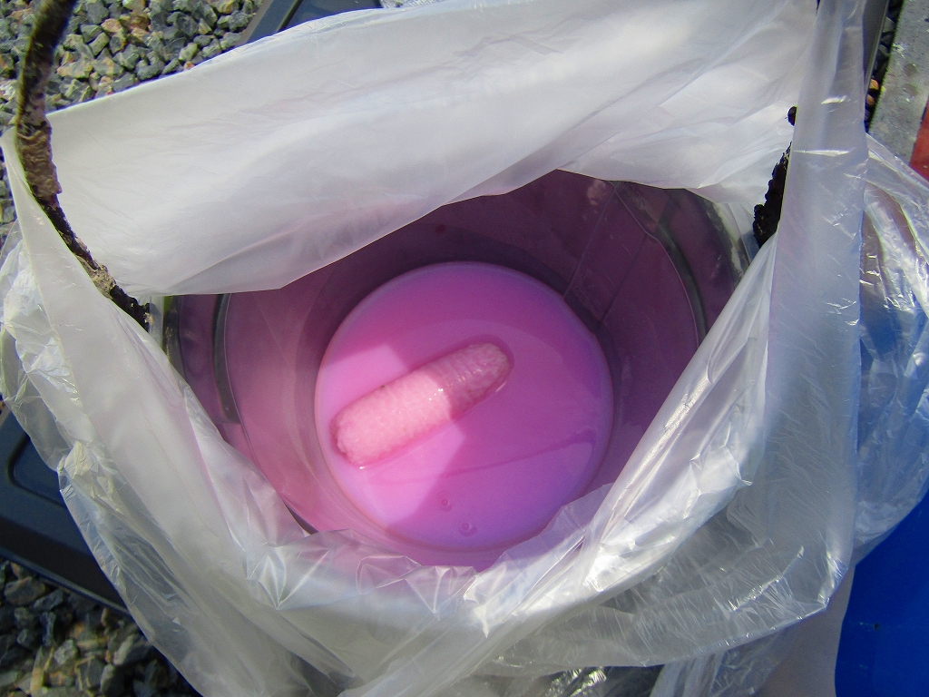 セラミファイントップ